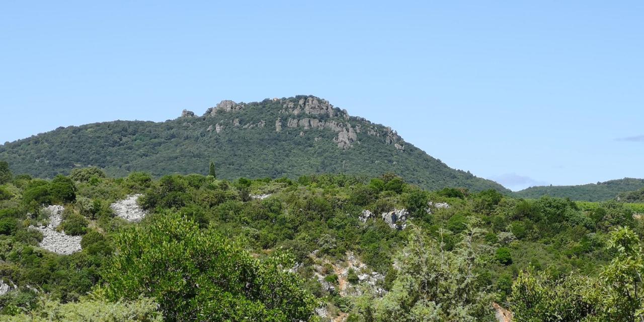 Le Mimosa Bed & Breakfast Saint-Saturnin-de-Lucian Eksteriør bilde