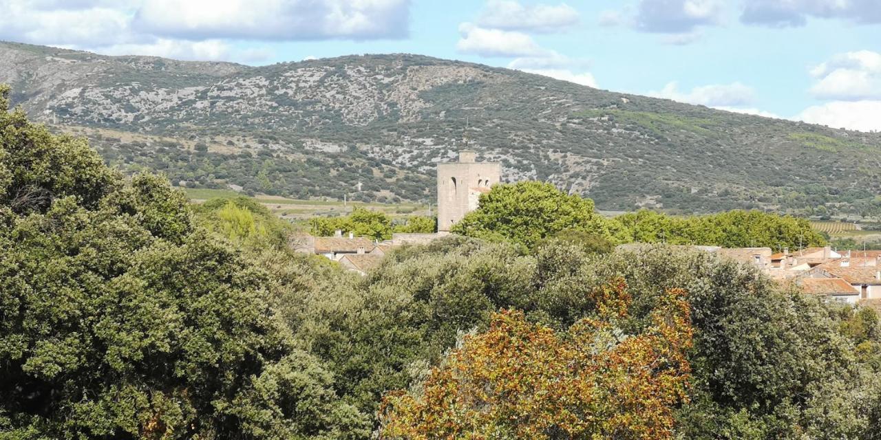 Le Mimosa Bed & Breakfast Saint-Saturnin-de-Lucian Eksteriør bilde