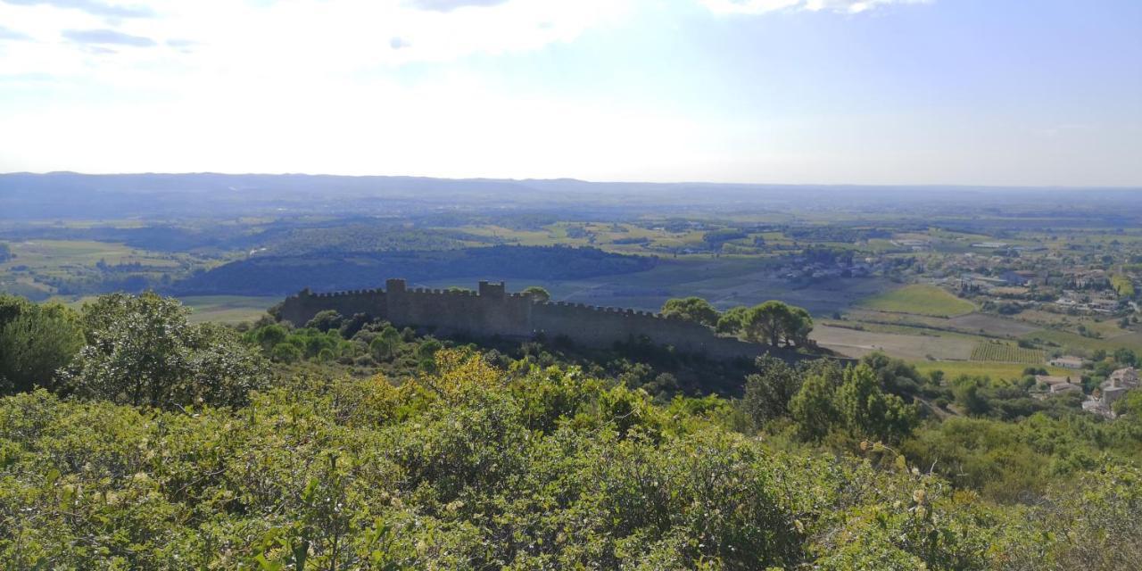 Le Mimosa Bed & Breakfast Saint-Saturnin-de-Lucian Eksteriør bilde