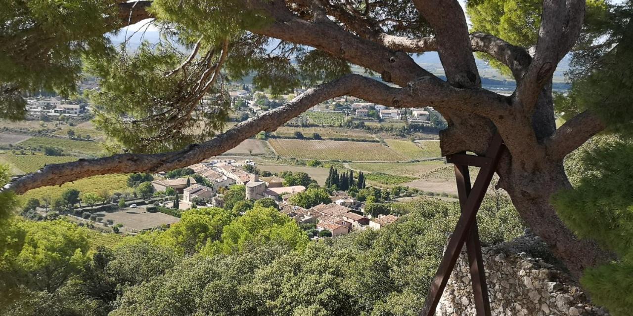 Le Mimosa Bed & Breakfast Saint-Saturnin-de-Lucian Eksteriør bilde