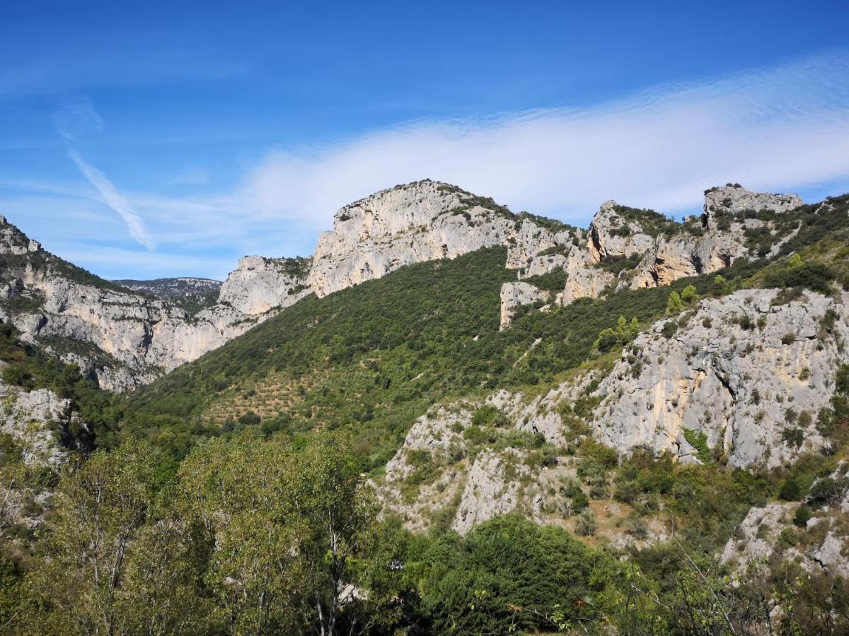 Le Mimosa Bed & Breakfast Saint-Saturnin-de-Lucian Eksteriør bilde