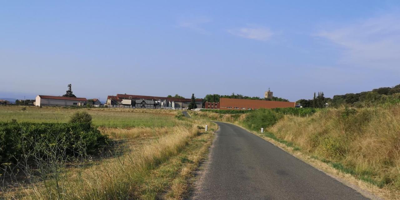 Le Mimosa Bed & Breakfast Saint-Saturnin-de-Lucian Eksteriør bilde