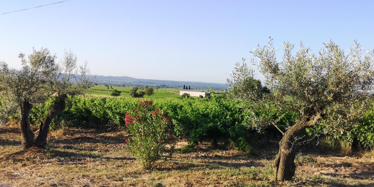 Le Mimosa Bed & Breakfast Saint-Saturnin-de-Lucian Eksteriør bilde