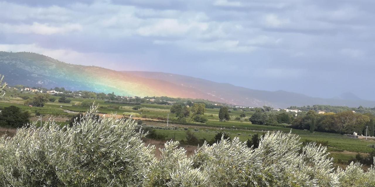 Le Mimosa Bed & Breakfast Saint-Saturnin-de-Lucian Eksteriør bilde