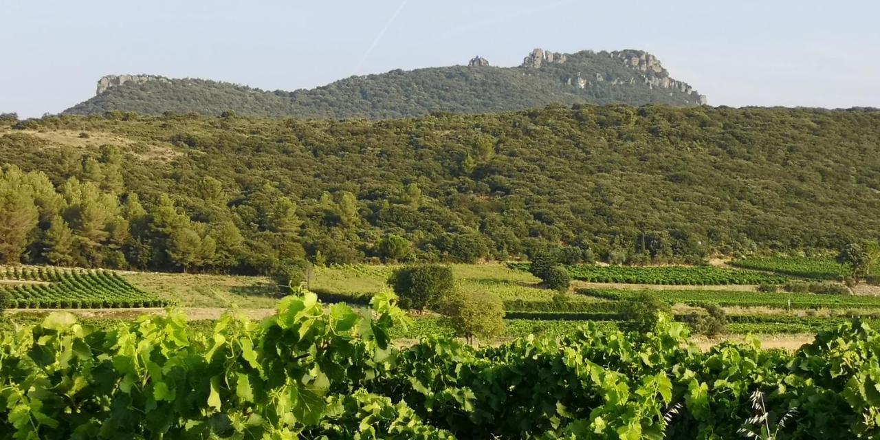 Le Mimosa Bed & Breakfast Saint-Saturnin-de-Lucian Eksteriør bilde