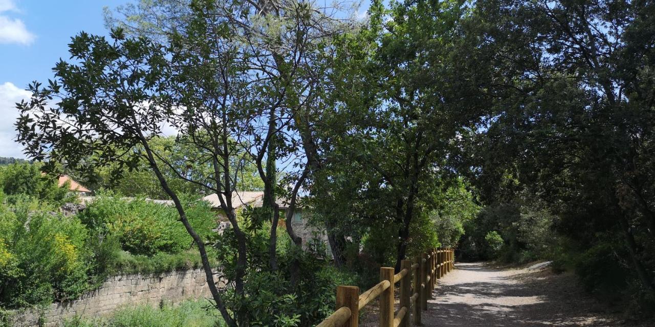 Le Mimosa Bed & Breakfast Saint-Saturnin-de-Lucian Eksteriør bilde
