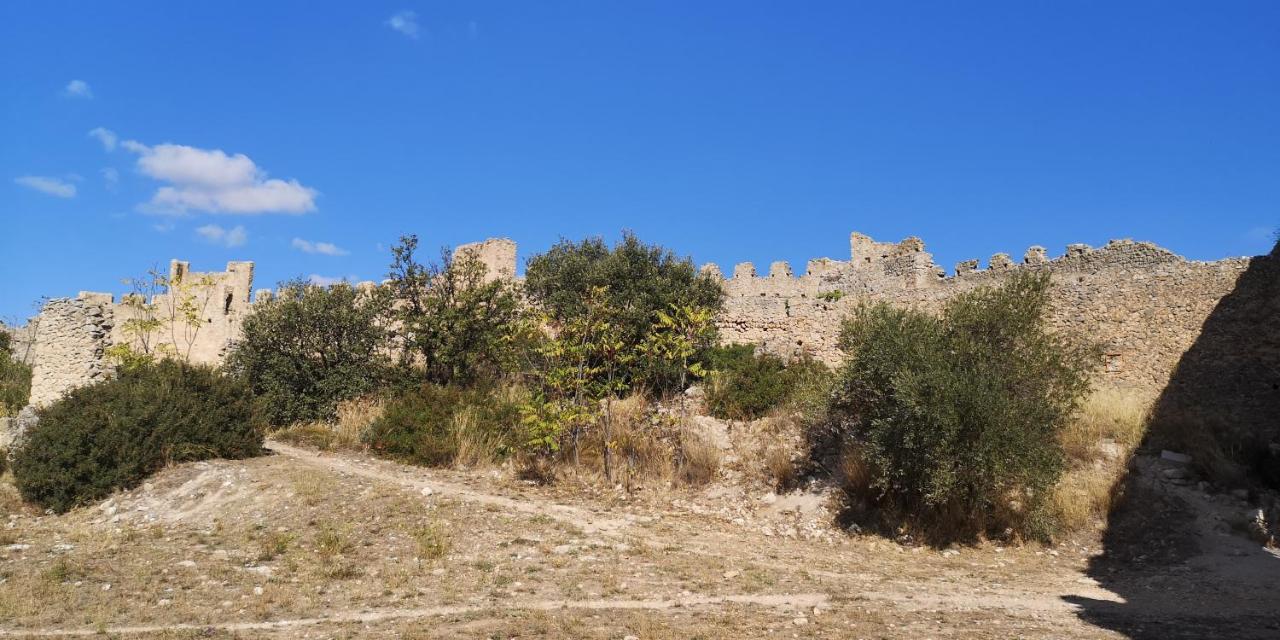 Le Mimosa Bed & Breakfast Saint-Saturnin-de-Lucian Eksteriør bilde