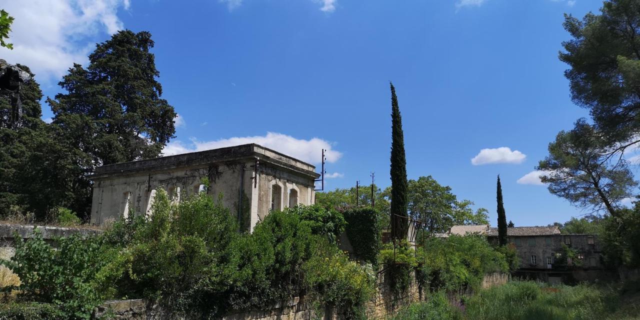 Le Mimosa Bed & Breakfast Saint-Saturnin-de-Lucian Eksteriør bilde